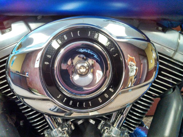 2007 Harley Davidson Street Bob Unknown