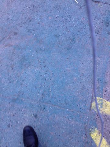 2005 Honda Odyssey EX LWB