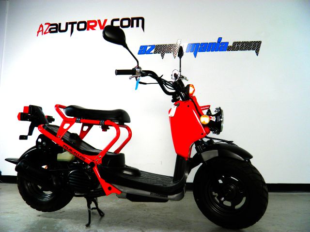 2009 Honda RUCKUS Unknown