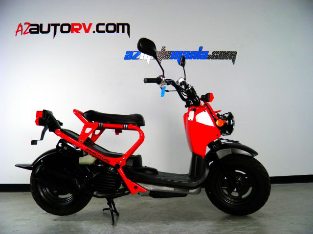 2009 Honda RUCKUS Unknown