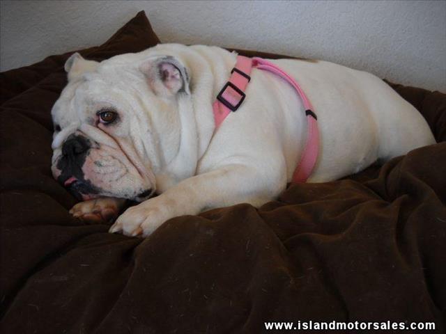 2007 Honda Ridgeline 4dr 1500 4WD