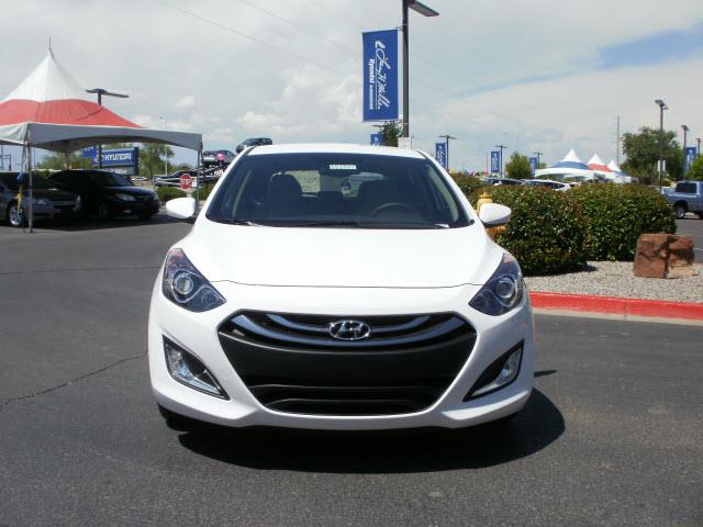 2013 Hyundai Elantra GT Unknown