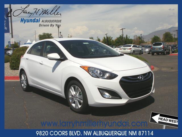 2013 Hyundai Elantra GT Unknown