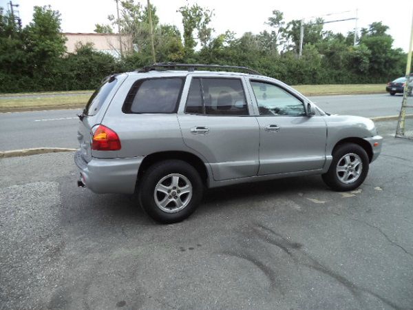 2002 Hyundai Santa Fe Elk Conversion Van