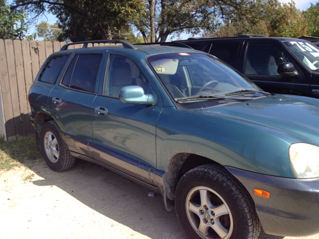 2002 Hyundai Santa Fe Elk Conversion Van