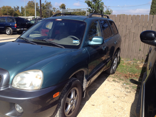2002 Hyundai Santa Fe Elk Conversion Van