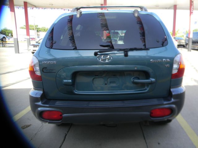 2002 Hyundai Santa Fe Elk Conversion Van