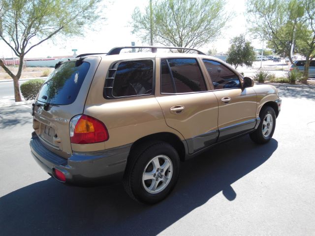 2002 Hyundai Santa Fe FWD 4dr Sport