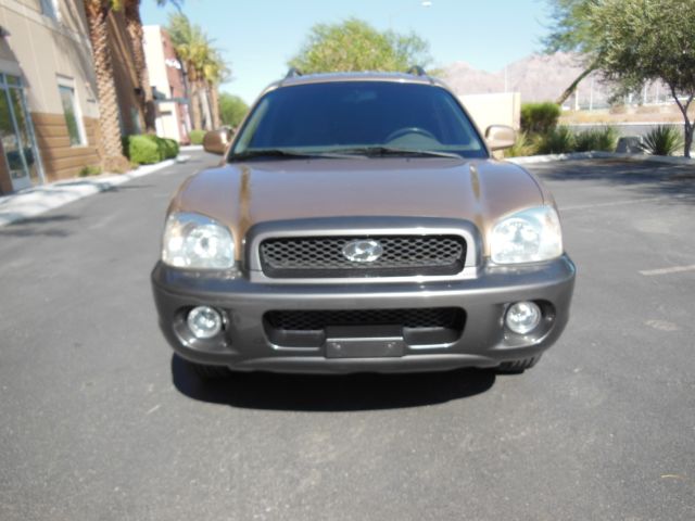 2002 Hyundai Santa Fe FWD 4dr Sport