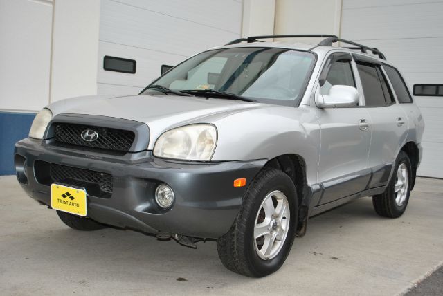 2002 Hyundai Santa Fe FWD 4dr Sport