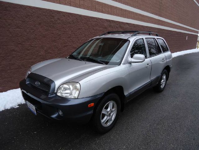 2002 Hyundai Santa Fe Ci