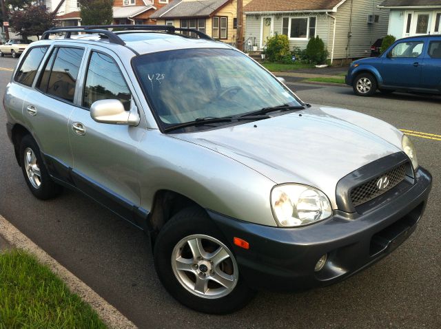 2003 Hyundai Santa Fe Elk Conversion Van