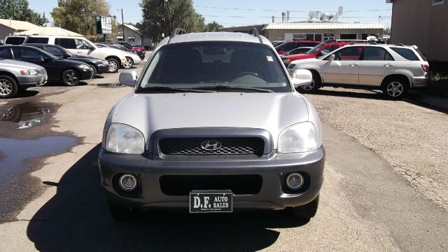 2003 Hyundai Santa Fe Elk Conversion Van