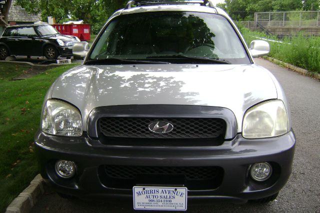 2003 Hyundai Santa Fe Ci