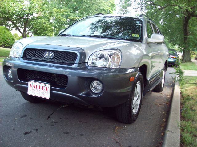 2003 Hyundai Santa Fe Ci