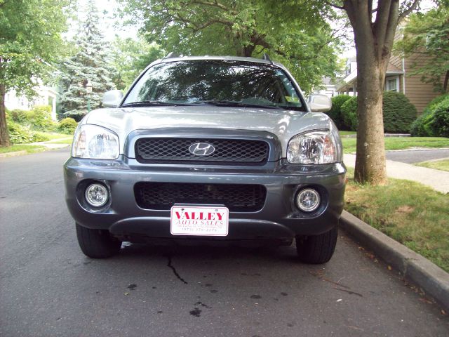 2003 Hyundai Santa Fe Ci