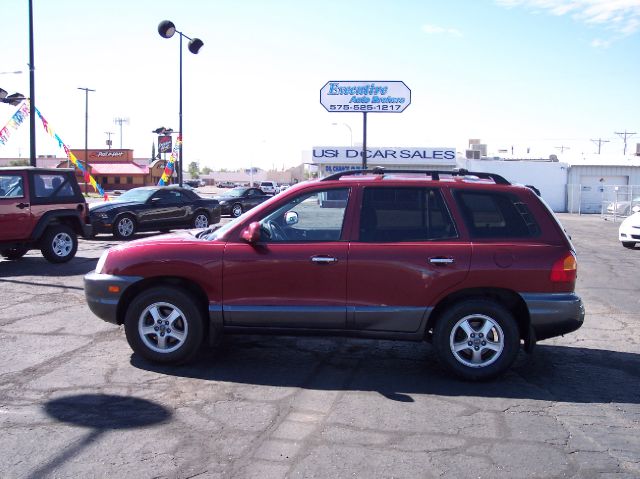 2003 Hyundai Santa Fe Elk Conversion Van