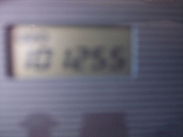 2003 Hyundai Santa Fe Elk Conversion Van