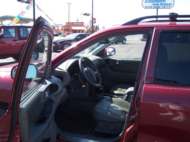 2003 Hyundai Santa Fe Elk Conversion Van