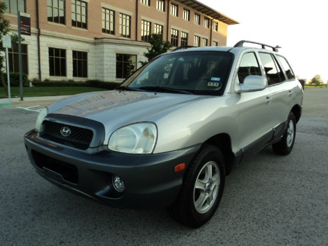 2003 Hyundai Santa Fe Elk Conversion Van