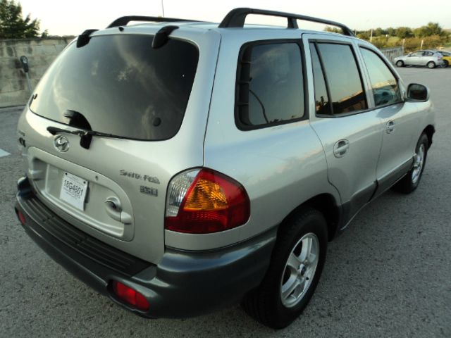 2003 Hyundai Santa Fe Elk Conversion Van