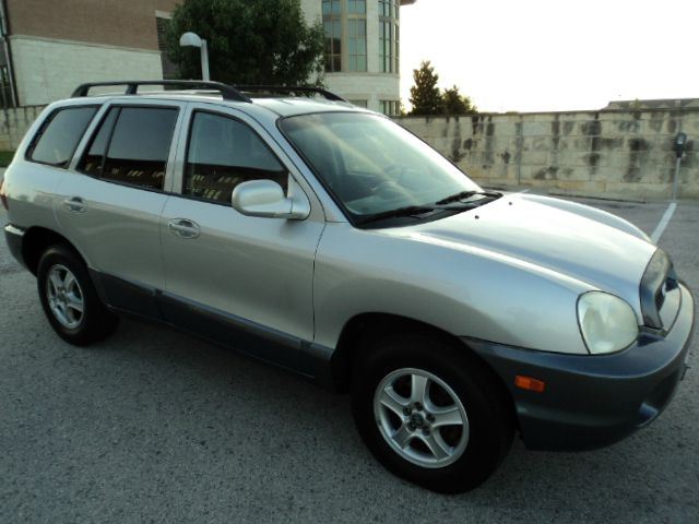 2003 Hyundai Santa Fe Elk Conversion Van
