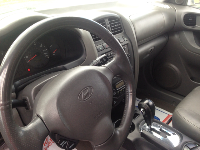 2004 Hyundai Santa Fe SLT 25
