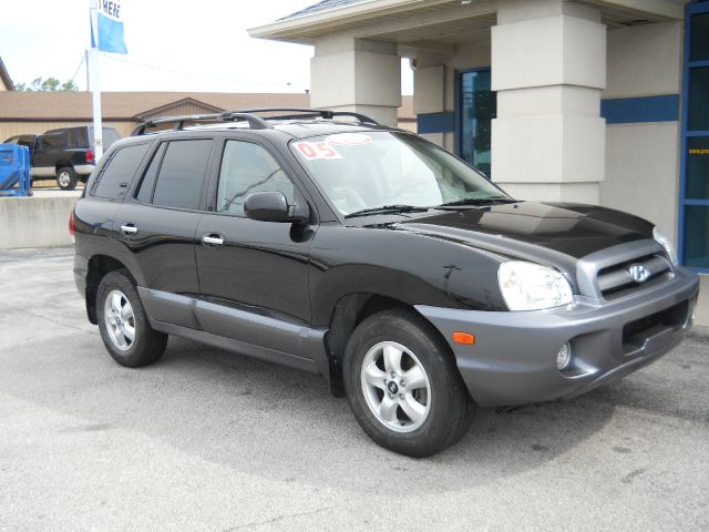 2005 Hyundai Santa Fe Elk Conversion Van