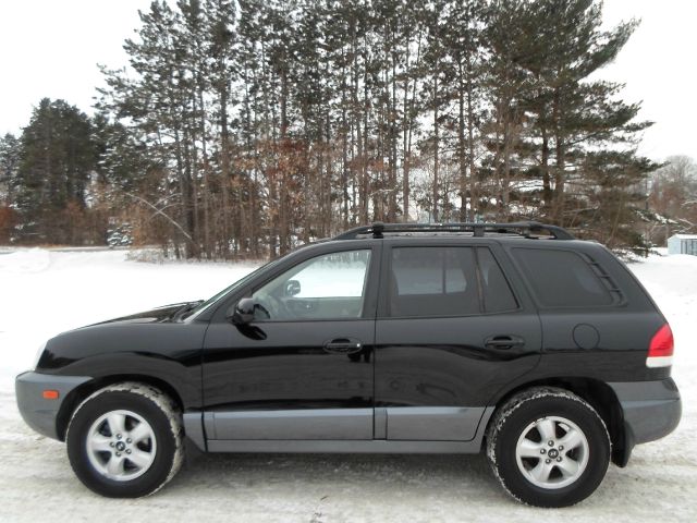 2006 Hyundai Santa Fe RWD W/1sf