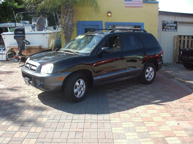 2006 Hyundai Santa Fe RWD W/1sf