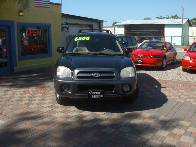 2006 Hyundai Santa Fe RWD W/1sf