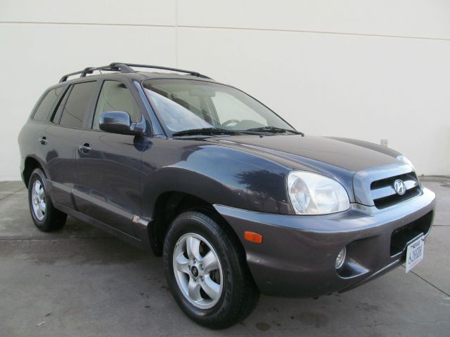2006 Hyundai Santa Fe RWD W/1sf