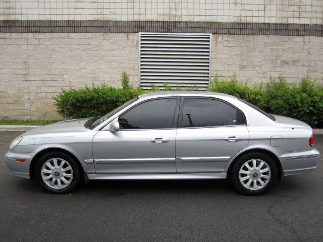 2002 Hyundai Sonata Elk Conversion Van