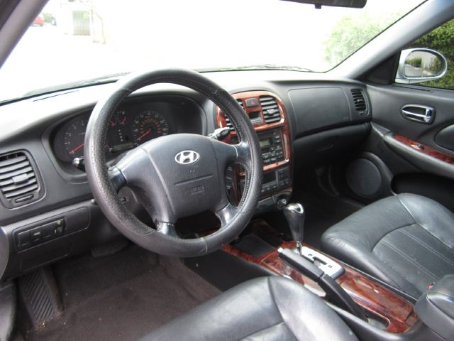 2002 Hyundai Sonata Elk Conversion Van