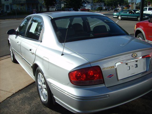 2002 Hyundai Sonata Elk Conversion Van