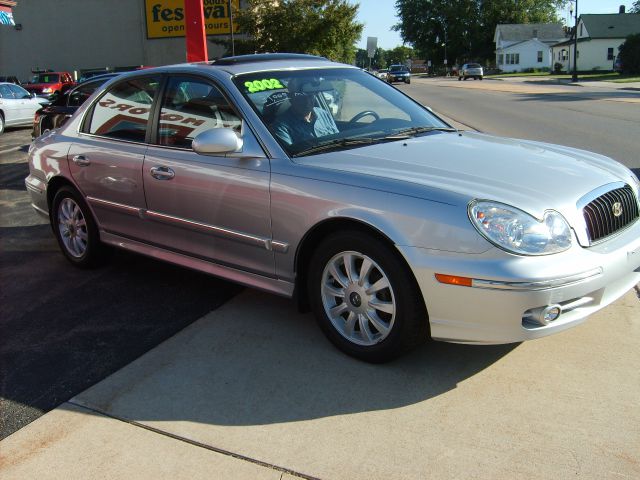 2002 Hyundai Sonata Elk Conversion Van
