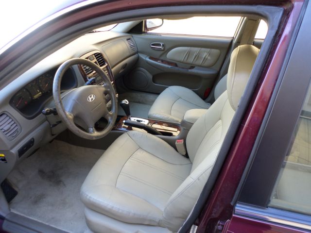 2002 Hyundai Sonata Elk Conversion Van