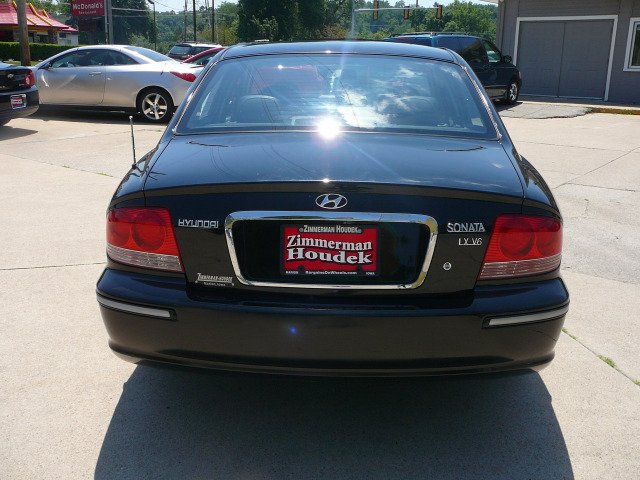 2002 Hyundai Sonata Elk Conversion Van