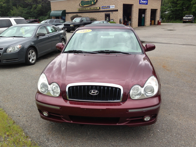2002 Hyundai Sonata Elk Conversion Van