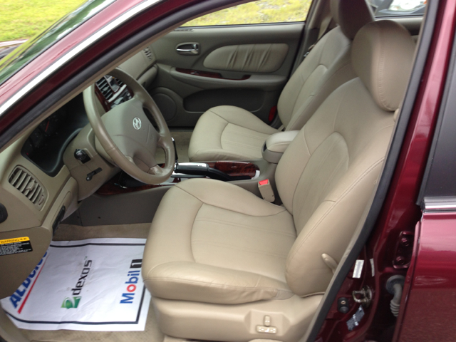 2002 Hyundai Sonata Elk Conversion Van