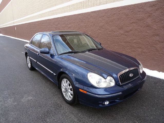 2002 Hyundai Sonata Elk Conversion Van