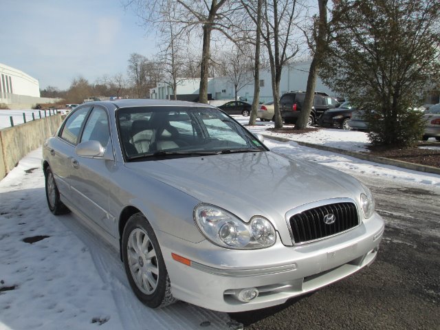 2002 Hyundai Sonata Elk Conversion Van