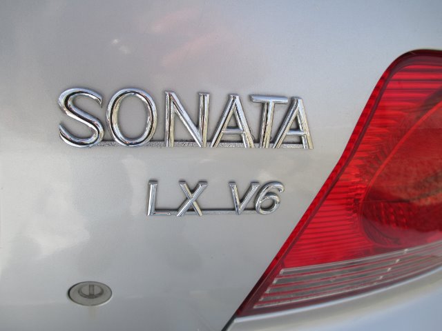 2002 Hyundai Sonata Elk Conversion Van