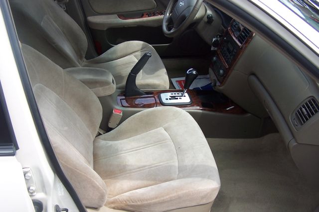 2002 Hyundai Sonata Elk Conversion Van