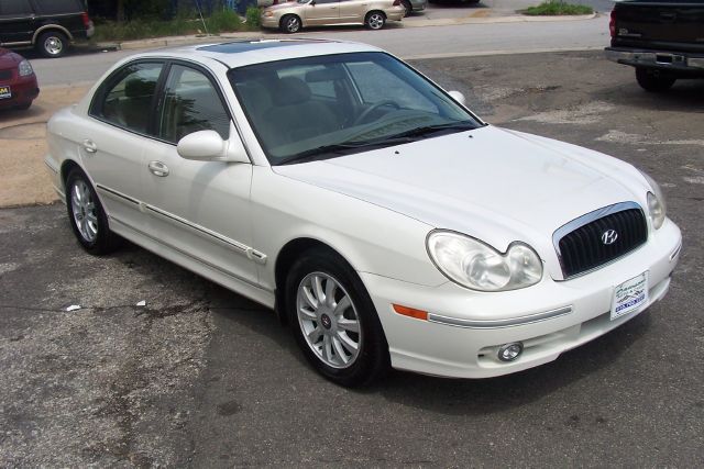 2002 Hyundai Sonata Elk Conversion Van