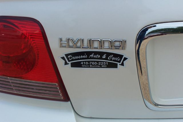 2002 Hyundai Sonata Elk Conversion Van