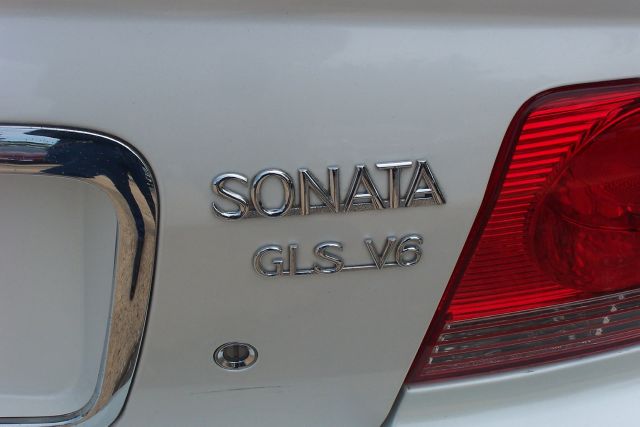 2002 Hyundai Sonata Elk Conversion Van