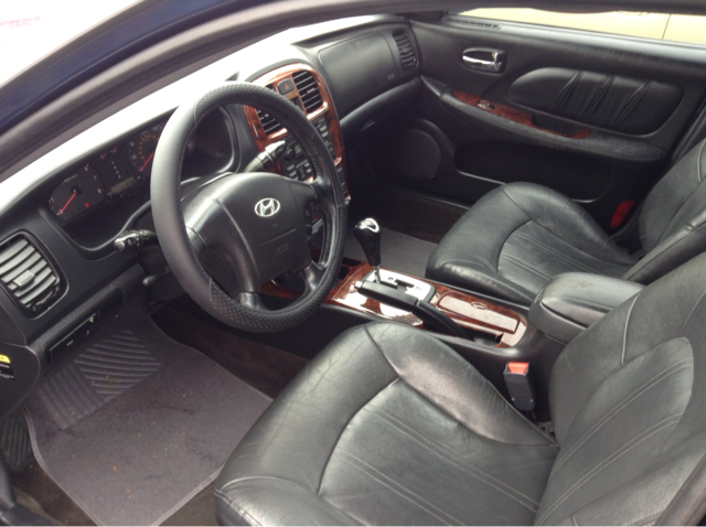 2003 Hyundai Sonata Elk Conversion Van