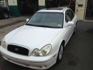 2003 Hyundai Sonata Elk Conversion Van