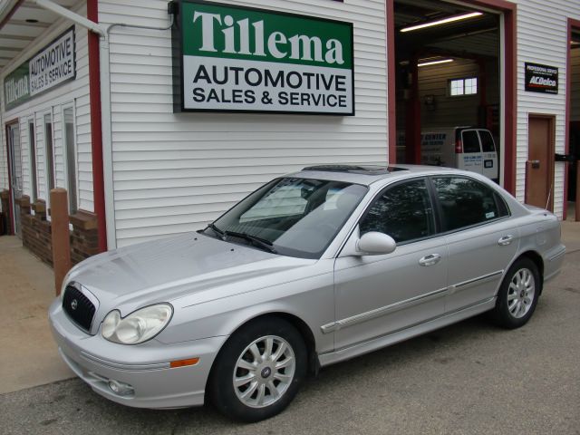 2003 Hyundai Sonata Elk Conversion Van